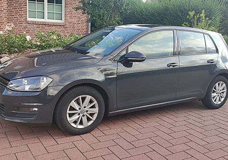 VW Golf Volkswagen 1.6 TDI BlueMotion Trendline