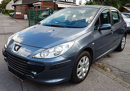 Peugeot 307 Grand Filou Cool 1.4i KLIMA/SERVO/ZV/