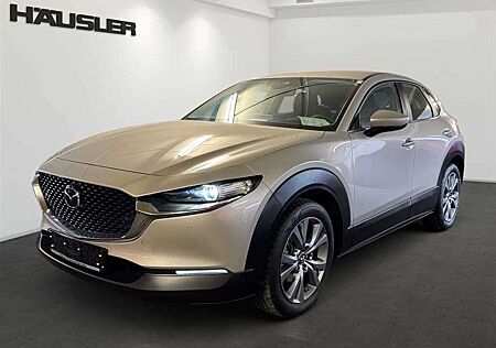 Mazda CX-30 2.0 M Hybrid Selection Automatik LED Navi Kamera