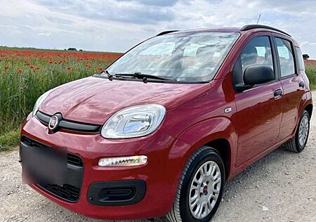 Fiat Panda 1.2 Pop 69cv E6