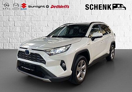 Toyota RAV 4 RAV4 Hybrid 4x4 Team Deutschland