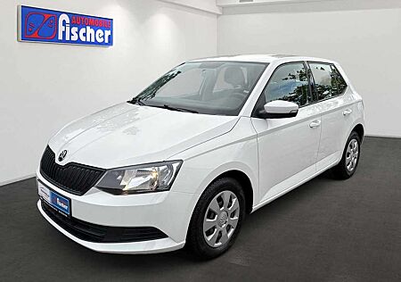 Skoda Fabia 1.0 MPI Active Green tec Garantie Klima 1.Hand