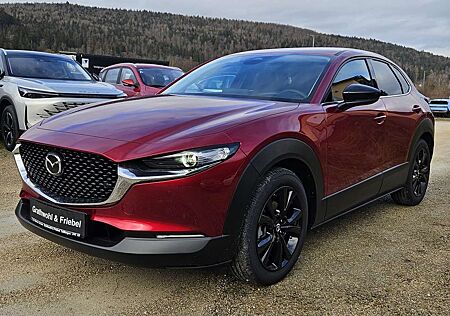 Mazda CX-30 2.5 e-SKYACTIV G 140 6AT Homura