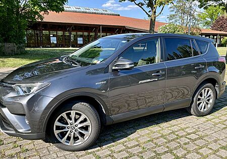 Toyota RAV 4 TEAM D, 2,5 l, Hybrid, e4x4, 145 kw, Navi, AHK