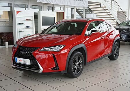 Lexus UX 250h Navi LED Kamera Lenkradhzg.