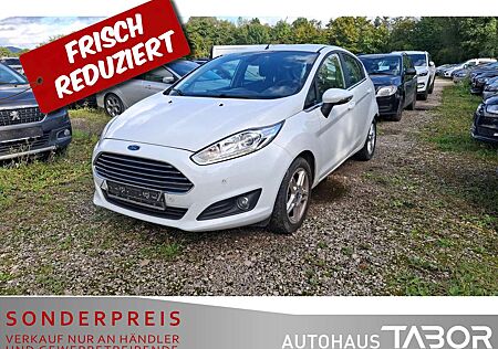 Ford Fiesta 1.0 EB 125 Titanium Klimaaut. PDC SHZ LM