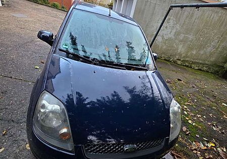 Ford Fiesta gebraucht kaufen Ford Fiesta 1.3 Silver Magic