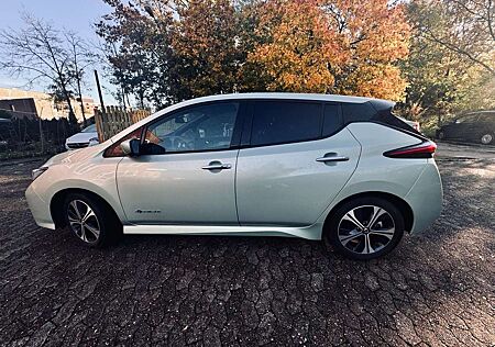 Nissan Leaf 2.Zero Edition Farbe Spring cloud