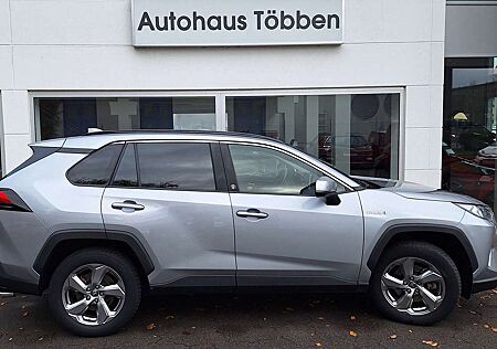 Toyota RAV 4 Hybrid 4x4 Team Deutschland + Technik P. +Navi + +