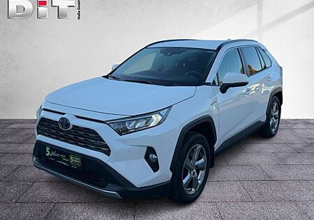 Toyota RAV 4 RAV4 2.5 D Team Deutschland LED Sitzheizg