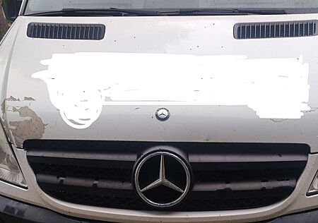 Mercedes-Benz Sprinter 313 CDI 906.235