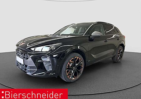 Cupra Terramar 2.0 TSI DSG VZ AHK TOP-VIEW HEAD-UP 20