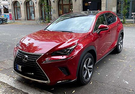 Lexus NX 300 NX 300h NX 300h E-FOUR Luxury Line