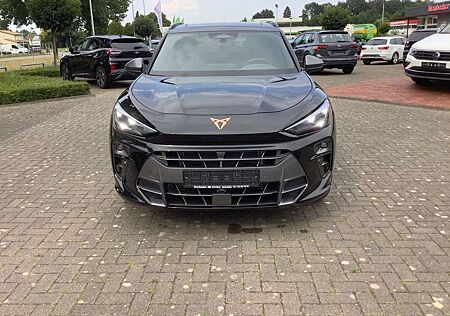Cupra Terramar 2.0 TSI 4Drive AHK PANO 360 STDHZG