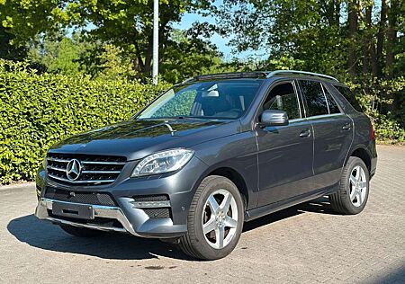 Mercedes-Benz ML 350 CDI BlueTec Leder*Panorama*360-Grad*