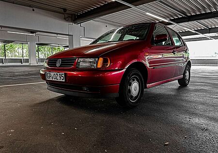 VW Polo Volkswagen 6N | TÜV Neu | Scheckheftgepflegt | Panorama | To