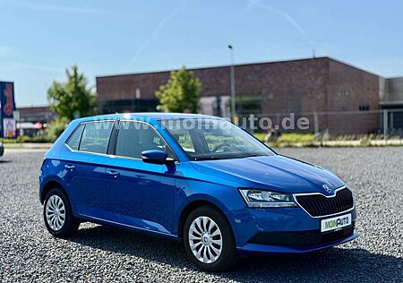Skoda Fabia Cool Plus KLIMA LED GANZJAHRESREIFEN