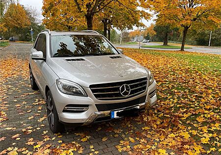 Mercedes-Benz ML 250 BlueTEC 4MATIC 7G-TRONIC