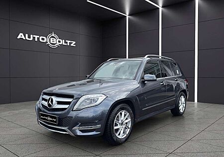 Mercedes-Benz GLK 250 CDI BlueTec 4Matic Bi-Xenon AHK EU6