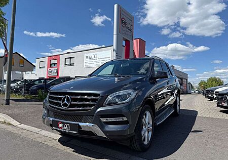 Mercedes-Benz ML 250 CDI BT Sport-Paket Navi FINANZIERUNG