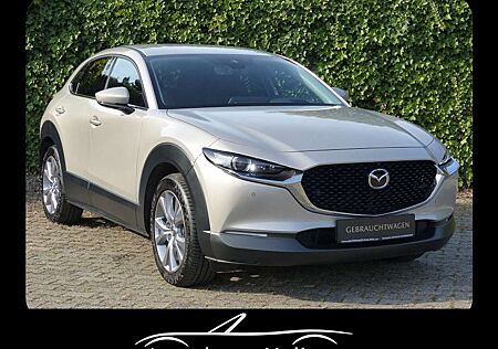 Mazda CX-30 SKYACTIV-G 122PS SELECTION + DESIGN-P. + PREMIUM-P