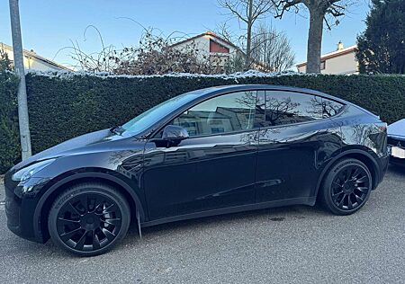 Tesla Model Y RWD 20"