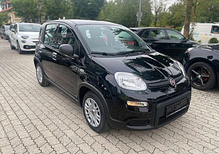 Fiat Panda Hybrid Klimaautomatik CarPlay 5.Sitz