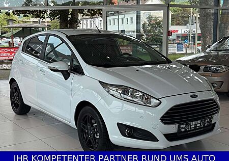 Ford Fiesta Titanium/Navi/Parkhilfe/1.Hand