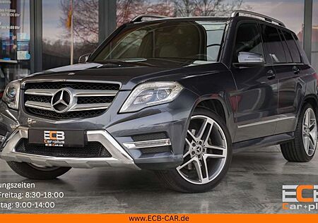 Mercedes-Benz GLK 250 CDI BlueTec 4Matic *AHK/Temp./Klimaaut.*