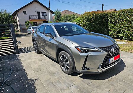 Lexus UX 250h Luxury Line