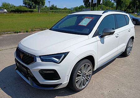 Cupra Ateca 2,0 TSI 4 Drive DSG