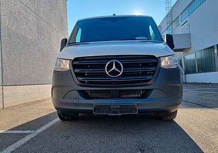 Mercedes-Benz Sprinter KasteRWD/AWD 319 CDI RWD L2*KAMERA*Autom