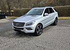 Mercedes-Benz ML 250 CDI BlueTec (166.004)