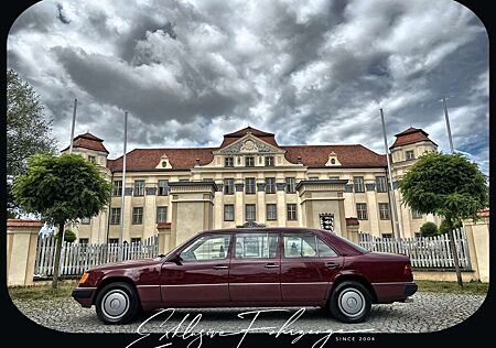 Mercedes-Benz 250 D | 6 Türen | V124 | Lederausstattung