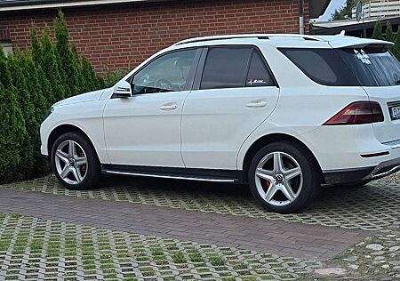 Mercedes-Benz ML 250 BlueTEC 4MATIC 7G-TRONIC