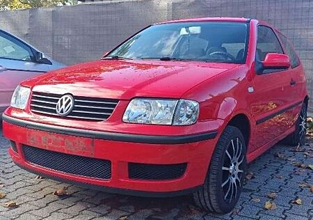 VW Polo Volkswagen 1.4 TÜV 11/2025 Modell 2000