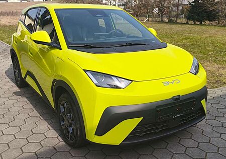 BYD Dolphin Surf Boost