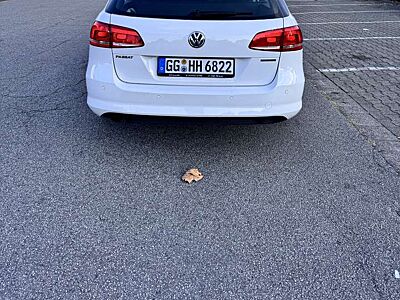 Volkswagen Passat Variant Trendline BlueMotion