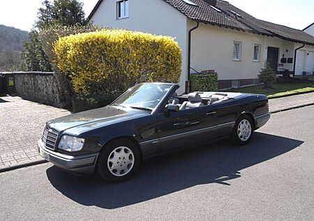 Mercedes-Benz E 220 cabrio /sportline