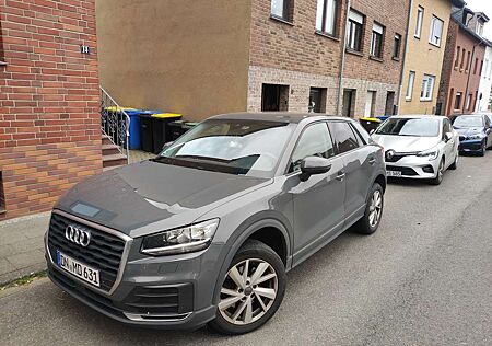 Audi Q2 basis