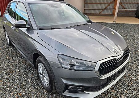 Skoda Fabia Selection Climatronic Alu 5 Jahre Garantie