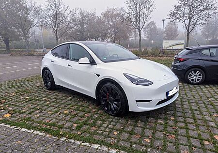 Tesla Model Y Dual Motor Performance EAP