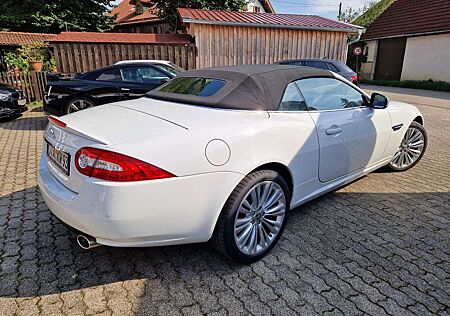 Jaguar XK 5.0 V8 CABRIO "PENIBEL GEPFLEGT" SERVICE NEU