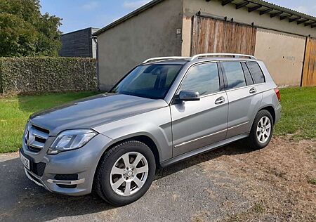 Mercedes-Benz GLK 220 CDI (BlueEFFICIENCY)