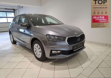 Skoda Fabia Selection SHZ PDC Garantie