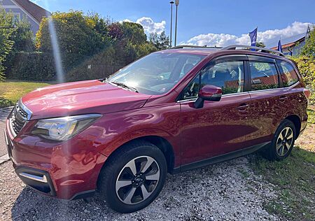 Subaru Forester Exclusive, Allrad, Klima, PANORAMA