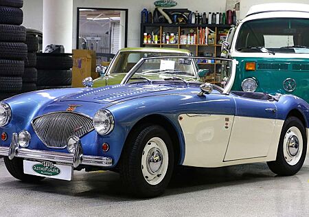 Austin Others Haldane HD-100