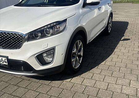 Kia Sorento 2.2 CRDi AWD Aut. Platinum Edition