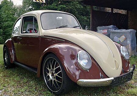 VW Käfer Volkswagen