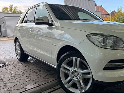 Mercedes-Benz ML 350 ML 350 BlueEfficiency (166.057)